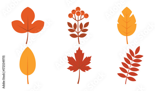 Autumnal Leaves Set Vector Illustration for Graphic Design