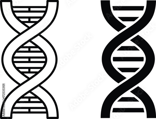 Two stylized representations of the DNA double helix structure, one in outline and the other filled in black.