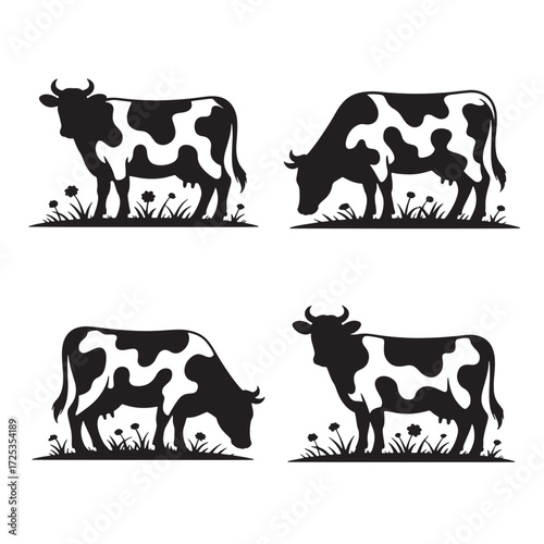 Four Black And White Holstein Friesian Cow Silhouettes Grazing In Meadow cattle bovine