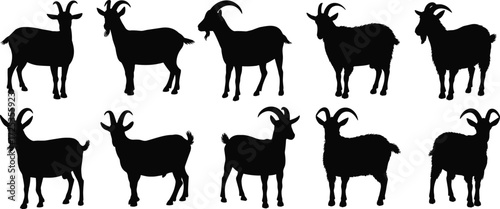 Goat silhouettes, farm animals, livestock icons, agriculture design, domestic mammals, rural lifestyle, horned shapes, nature art, animal vector, illustration