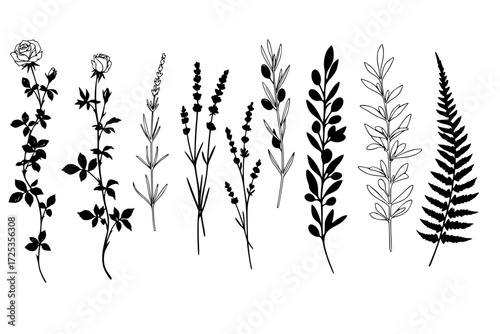 Elegant Botanical Silhouettes Vector Collection. Climbing Rose Vine, Delicate Lavender Sprig, Olive Branches, Minimalist Fern. Graceful Designs for Spines or Forearms.







