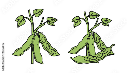 Two Green Soybeans Pods on Plants Vector Illustration