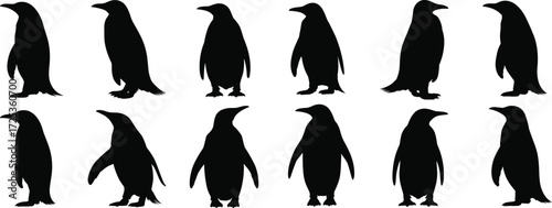 Penguin silhouettes, seabird icons, Antarctic wildlife, marine birds, cold climate animals, nature design, flightless bird outline, coastal art, vector illustration