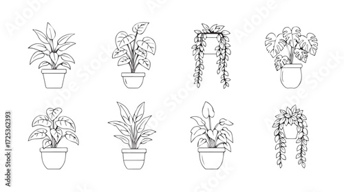 Collection of hand drawn houseplants in pots decorative botanical line art elements vector