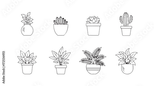 Set of hand drawn botanical line art illustrations of potted houseplants and cacti vector