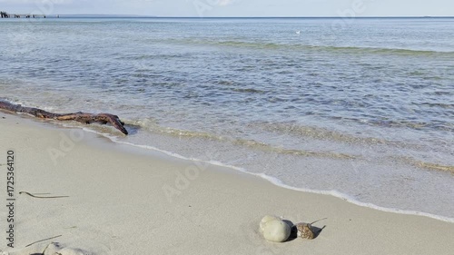 Ruhige Ostseeszene am Strand auf Rügen: flaches Wasser, sanfte Wellen, Treibholz und Steine am Sandufer unter blauem Himmel