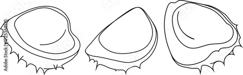 Coloring page with horse chestnut peels isolated on white background	
