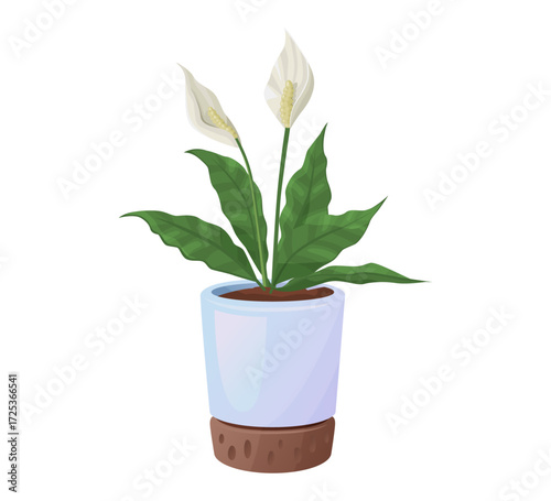 Peace lily in pot vector illustration