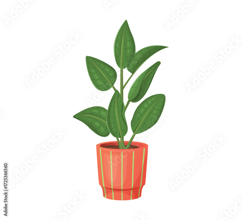 Foliage plant in pot vector illustration