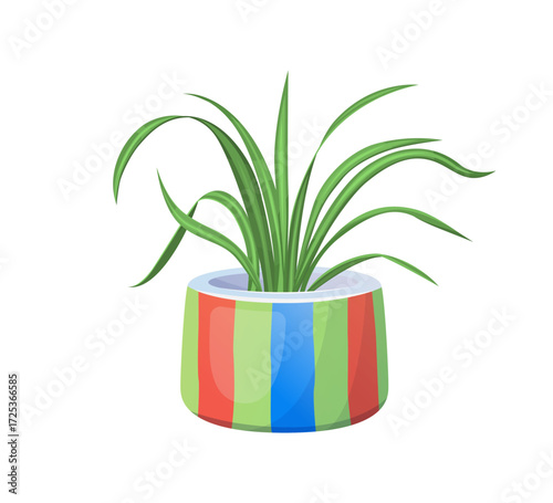Spider plant in pot vector illustration