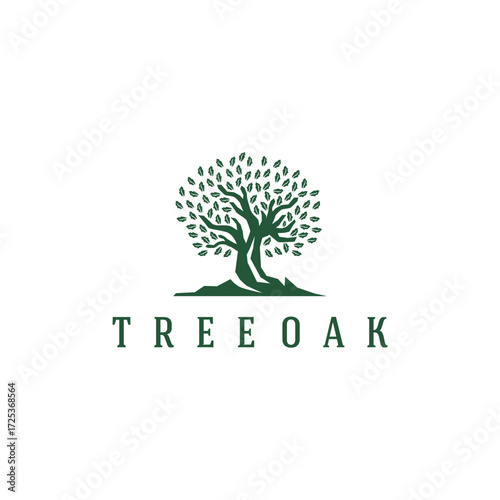 Oak Tree Silhouette of Tree Vector Logo Design Template