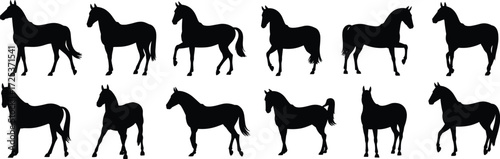 Horse silhouette collection, equine vector illustration, animal poses clipart, galloping horse icons, standing horse design, domestic animal art, wild horse posture set