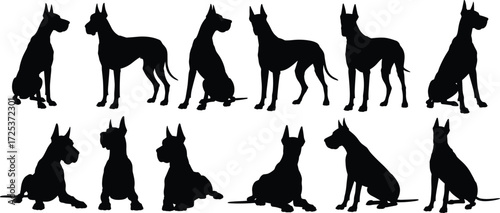 Great Dane dog silhouettes, large breed vector, canine poses illustration, pet animal icons, domestic dog clipart, guard dog design set