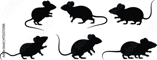 Mouse silhouette icons, rodent vector set, small animal graphics, wildlife illustration pack, pest control design art, mammal symbols, nature creatures