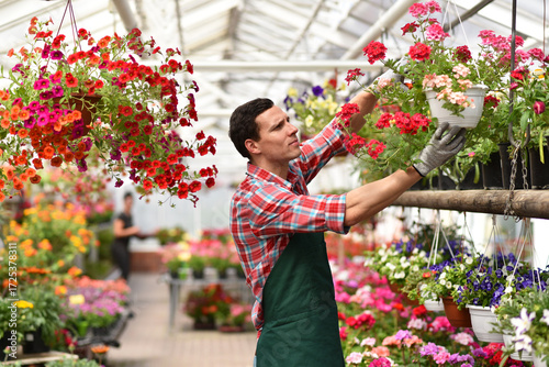 Gardener works in a greenhouse in a flower shop