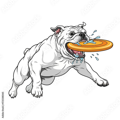 Slow-motion of a bulldog biting a frisbee mid-air.