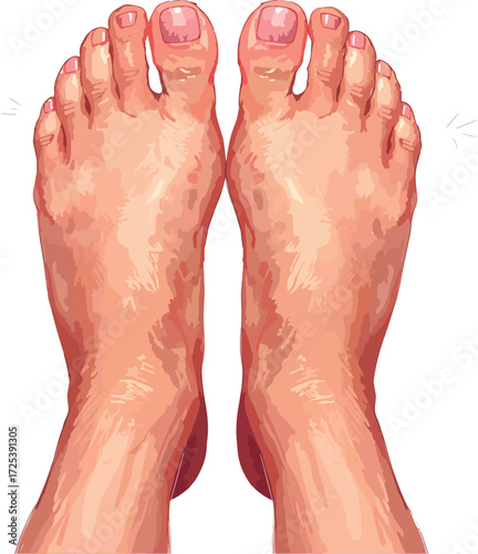 Feet