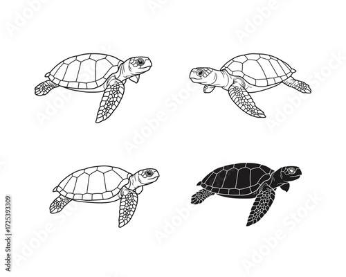 Collection of four hand drawn sea turtle illustrations in different styles and outlines on a white background