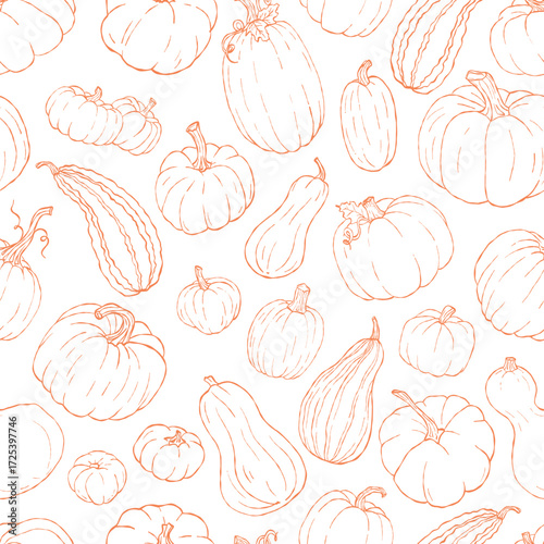 Seamless Pumpkin Pattern Line Art – Hand Drawn Autumn Vegetables, Fall Harvest, Halloween and Thanksgiving Outline Design – Seasonal Fabric, Wrapping, Packaging
