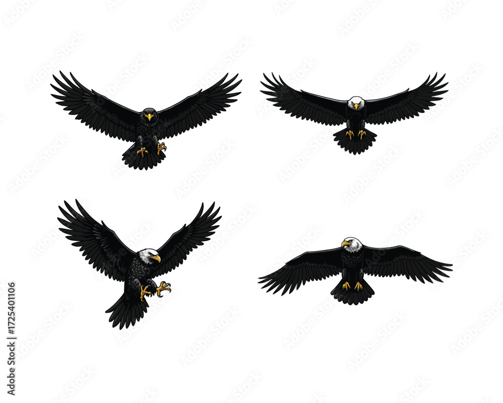 Fototapeta premium Four distinct aerial views of a majestic bald eagle in flight showcasing its powerful wingspan and sharp talons against a clean white background