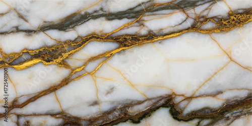 Vector art of exquisite golden onyx marble slab, showcasing intricate gold and brown veining patterns, creating a luxurious and opulent aesthetic for highend interior design