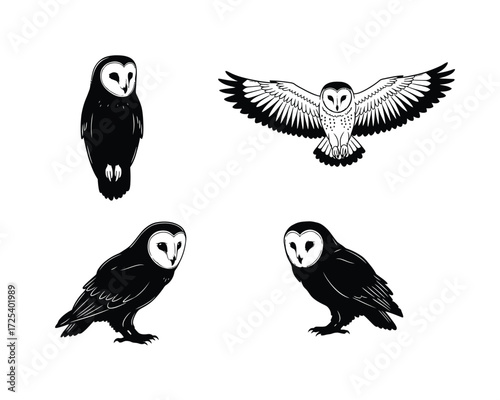 Set of four hand drawn barn owl illustrations in different poses including flying and perched against white background