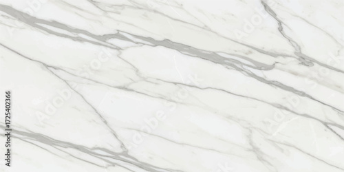 Vector art of elegant calacatta marble slab, featuring subtle gray veining and a polished surface, ideal for sophisticated interior design projects