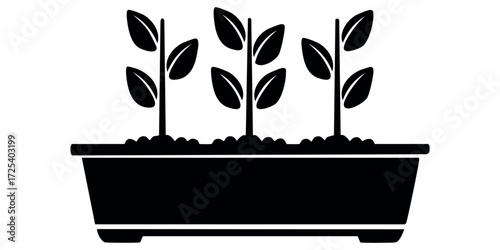 Minimalist rectangular planter box with three plant sprouts isolated on white background