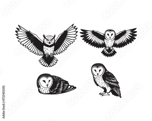 Four detailed black and white hand drawn illustrations of owls in different poses including flying and perched on a white background
