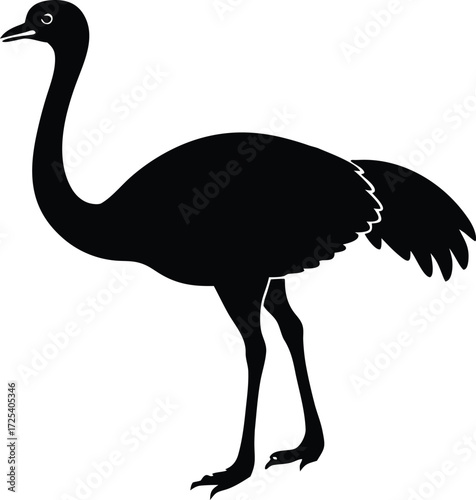 ostrich bird icon, wildlife silhouette design