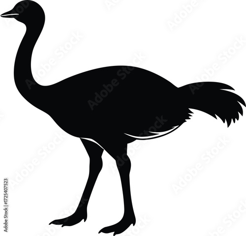 ostrich silhouette vector, bird illustration art