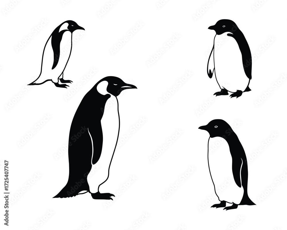 Obraz premium Four distinct black and white illustrations of penguins standing in various poses against a clean white background