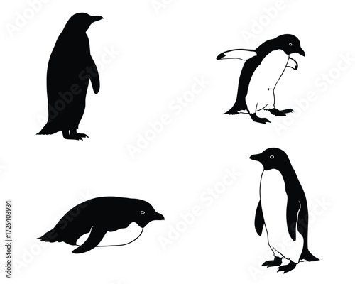 Four distinct black and white illustrations of penguins in various poses including standing waddling and swimming on a clean white background