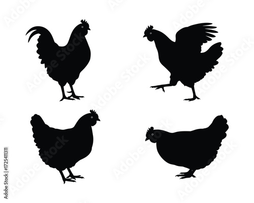 Four black silhouettes of domestic chickens including a rooster and hens in various poses on a white background