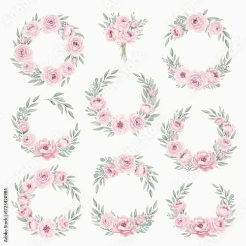 set of collection rose flower arrangements element watercolor