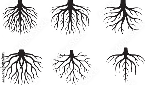 Tree Root System Silhouettes Vector Set: Nature, Foundation, and Underground Branch Graphics Collection


