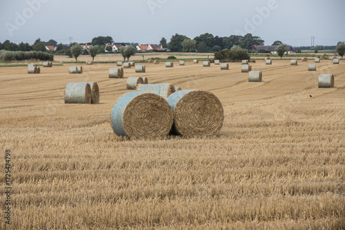 Skåne landscape after harvest time
