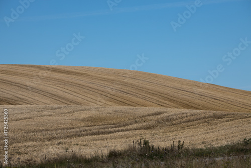 Skåne landscape after harvest time