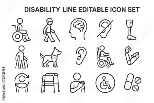Graphic icons representing various aspects of disability support and accessibility in diverse settings