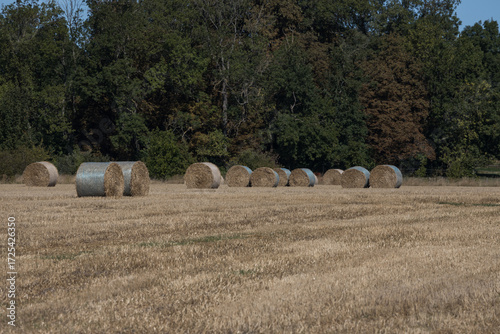 Skåne landscape after harvest time