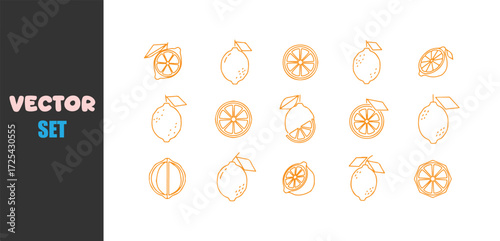Collection of hand drawn orange slices and citrus fruits in watercolor style