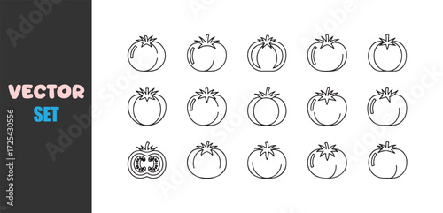 Collection of hand drawn tomato illustrations in various styles and cuts