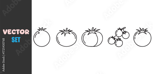 Collection of hand drawn tomato illustrations in black and white
