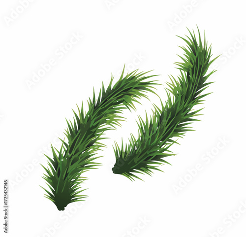 christmas tree branch isolated