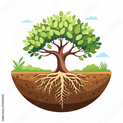 Nature Growth and Foundation Concept with Tree Roots