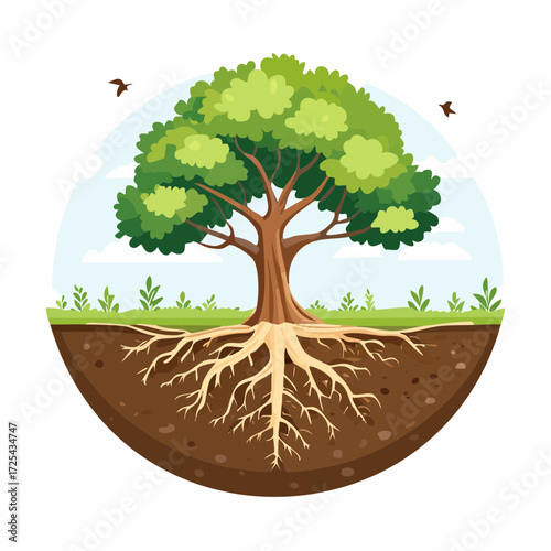 Healthy Green Tree with Visible Root System