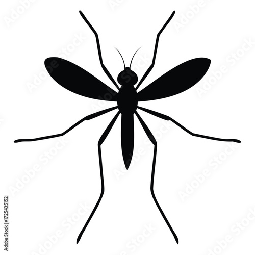 Mosquito Insect Silhouette Design