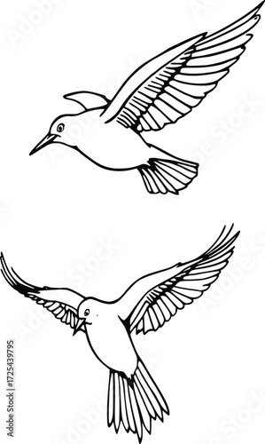 Pair of Birds Flying Line Art