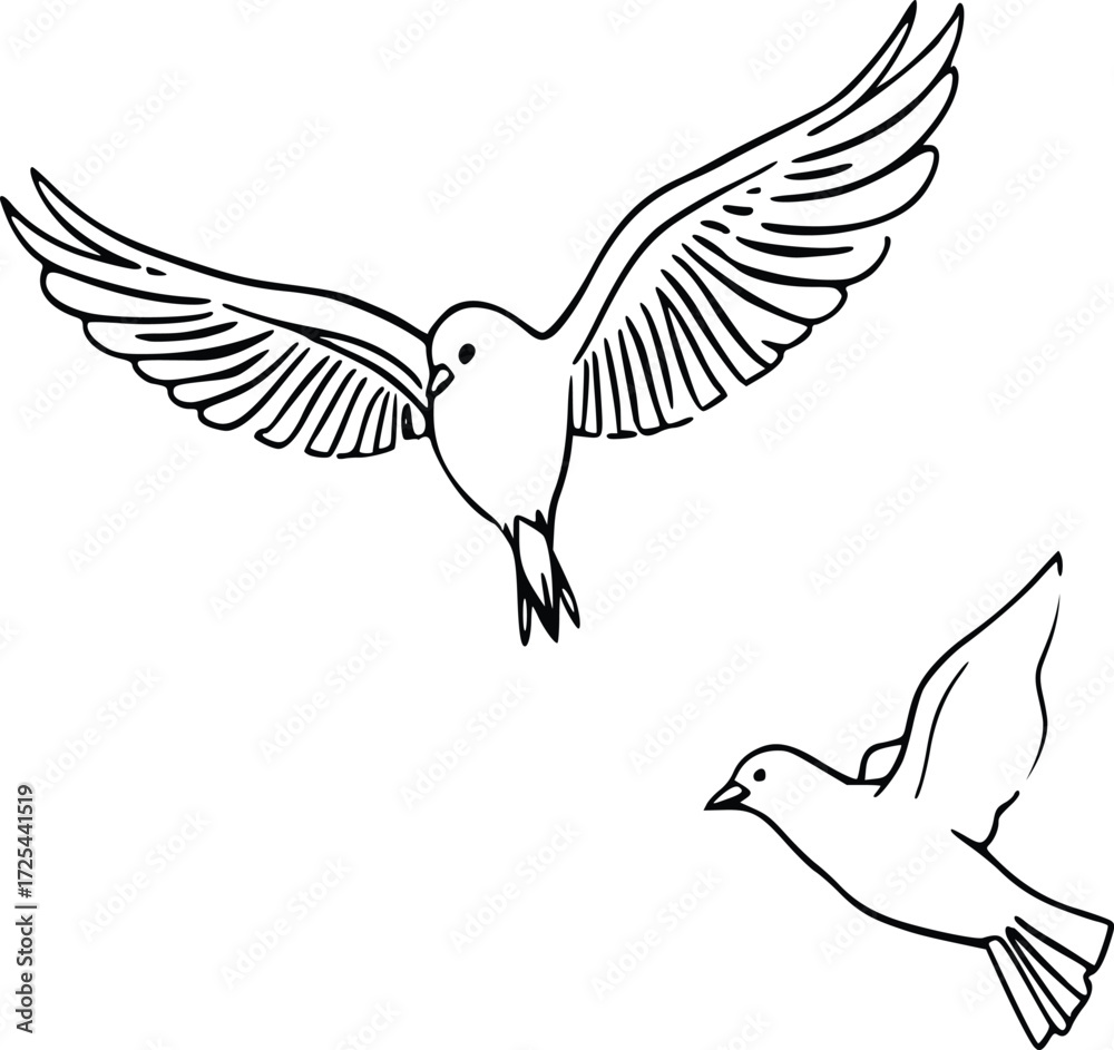 Obraz premium Artistic Dove Flight Illustration 