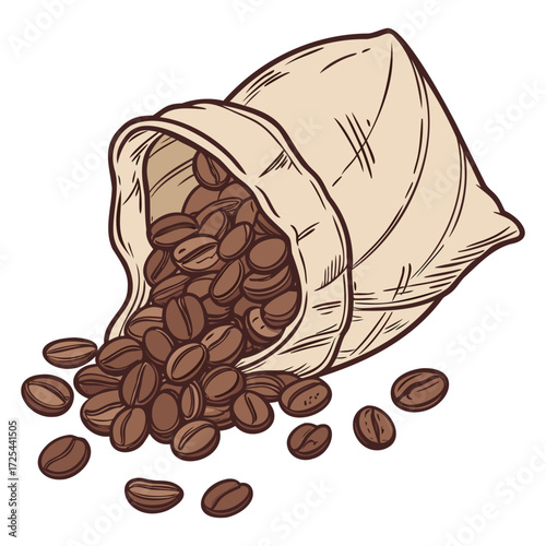 Premium Coffee Bean Illustration